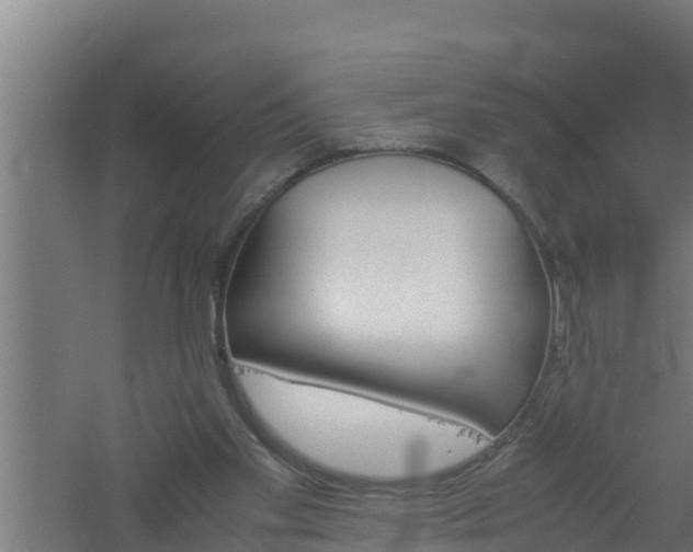 X0000061120109200511241720