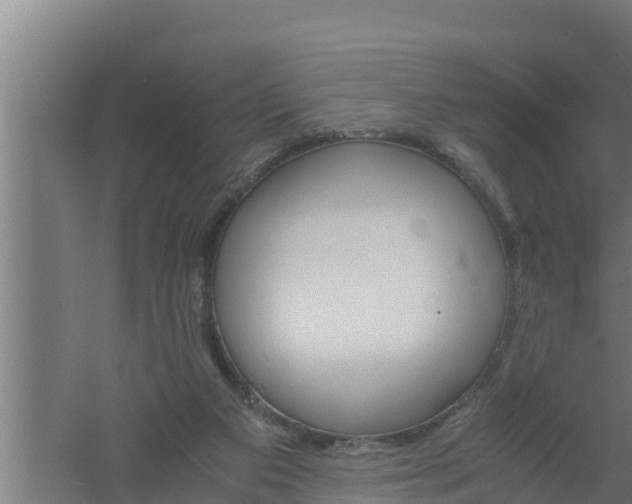 X0000061120113200511241720