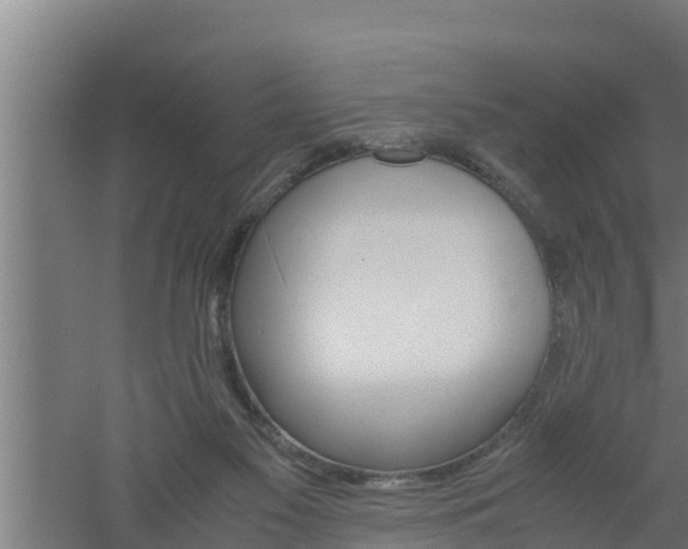 X0000061120117200511241720