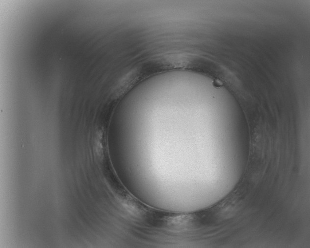 X0000061120122200511241720