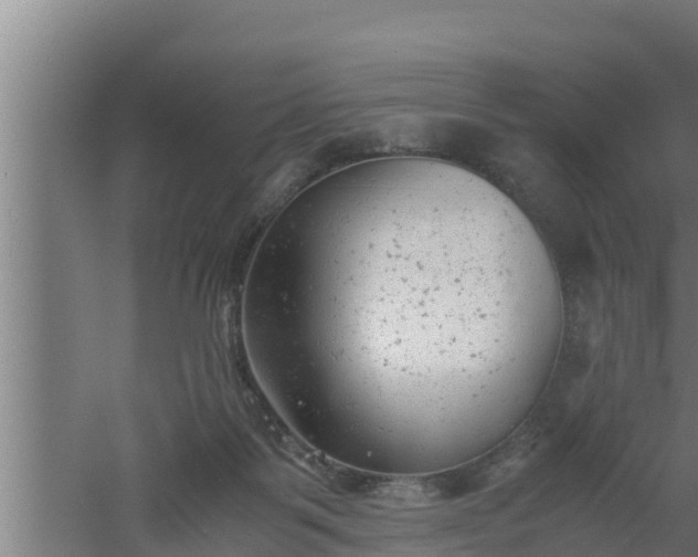 X0000061120123200511241720