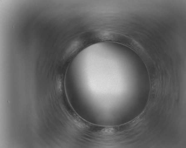 X0000061120124200511241720