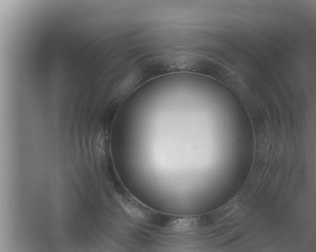 X0000061120126200511241720