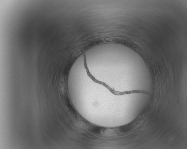 X0000061120129200511241720