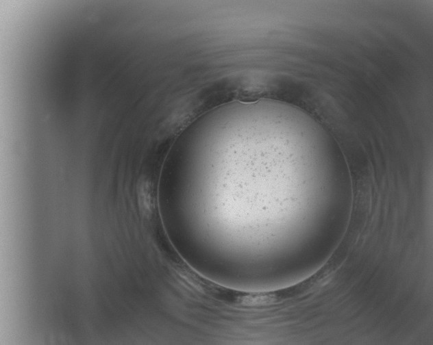 X0000061120135200511241720