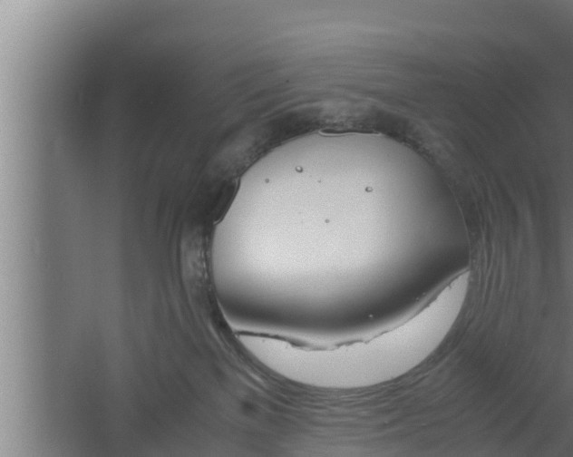 X0000061120137200511241720