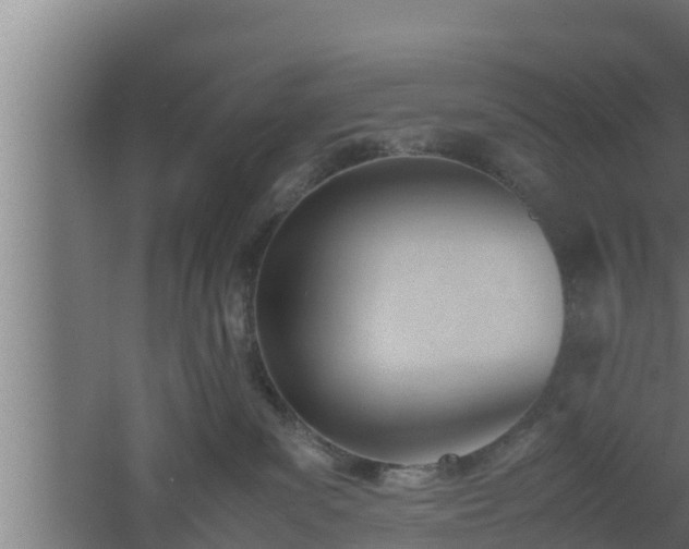 X0000061120139200511241720