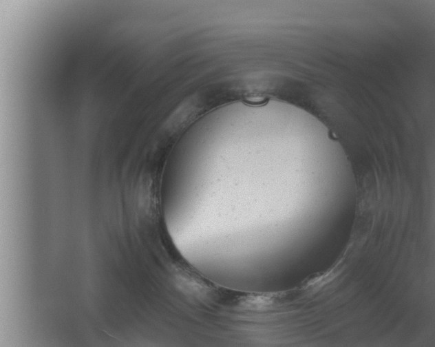 X0000061120140200511241720