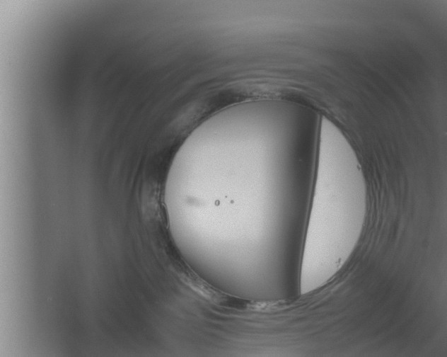 X0000061120141200511241720