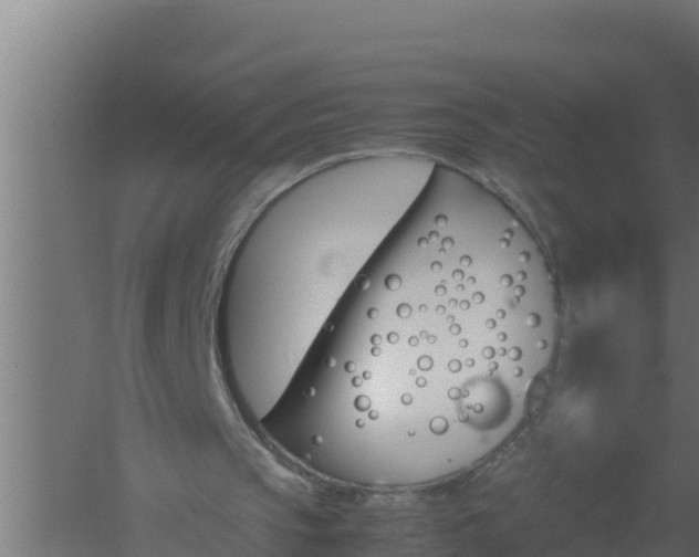 X0000061120145200511241719