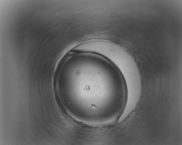 X0000061120148200511241719