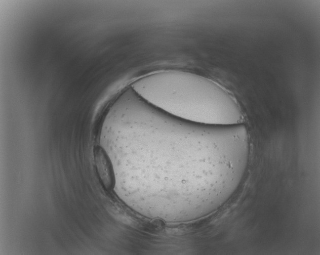 X0000061120149200511241719