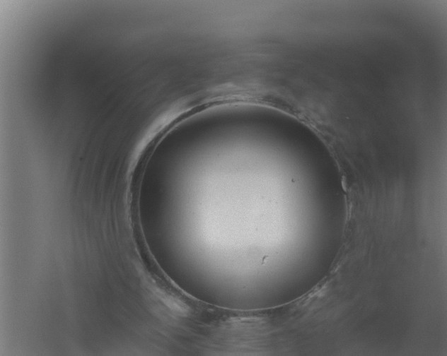 X0000061120150200511241719