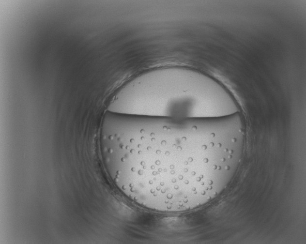 X0000061120153200511241719