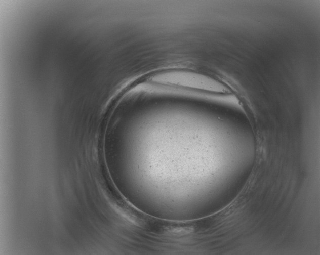 X0000061120155200511241719