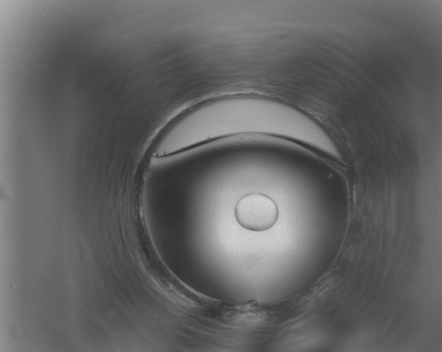 X0000061120156200511241719