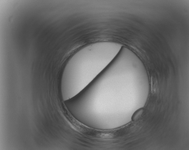 X0000061120157200511241719