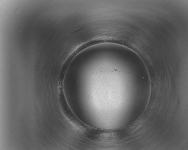 X0000061120160200511241719