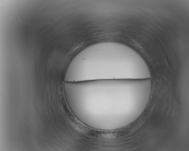 X0000061120161200511241719