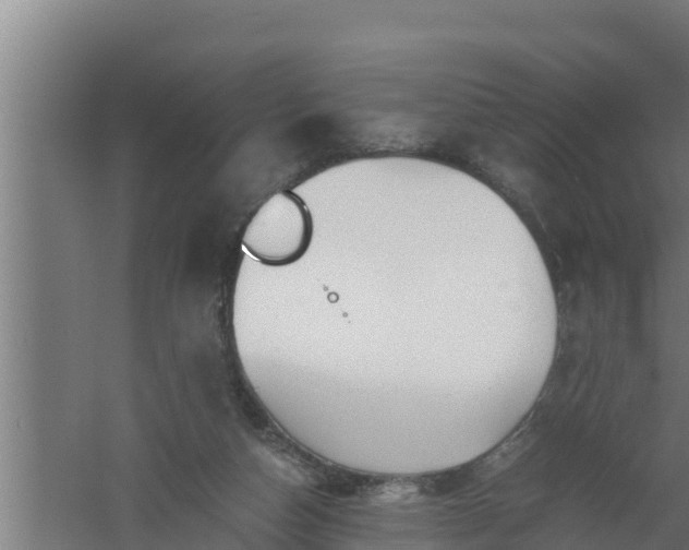 X0000061120162200511241719