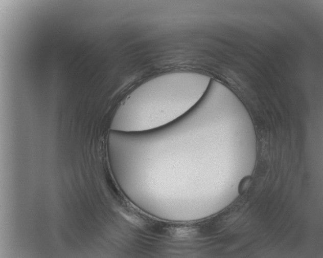 X0000061120165200511241719