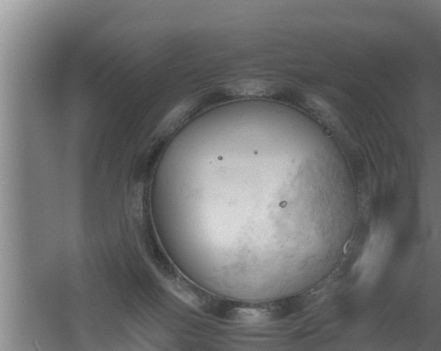 X0000061120167200511241719