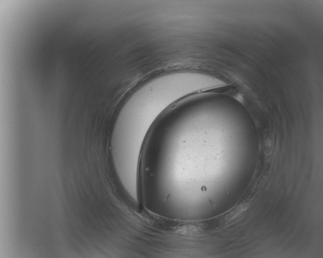 X0000061120168200511241719