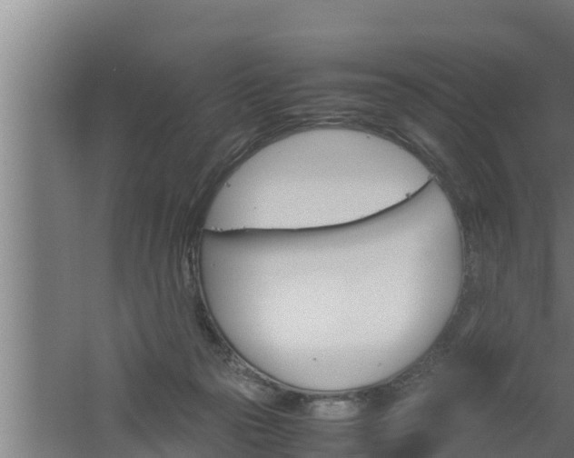 X0000061120169200511241719