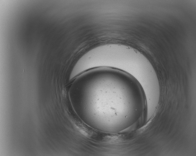 X0000061120170200511241719