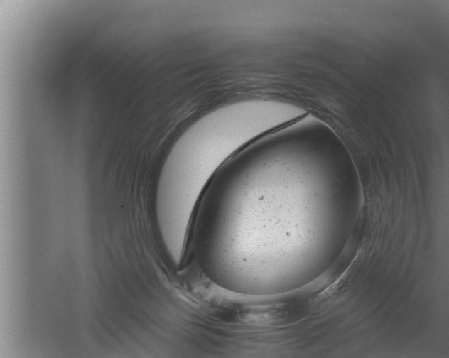 X0000061120171200511241719