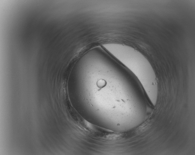 X0000061120172200511241720