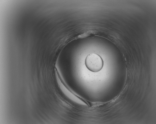 X0000061120175200511241720