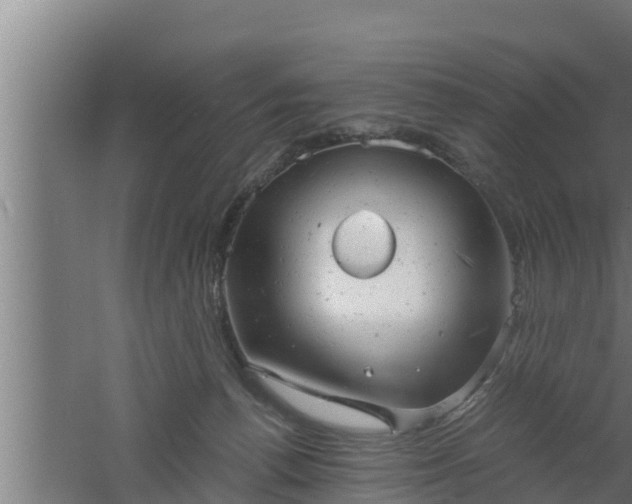 X0000061120176200511241720