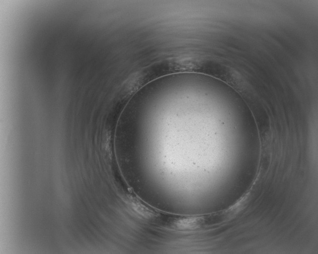 X0000061120178200511241720