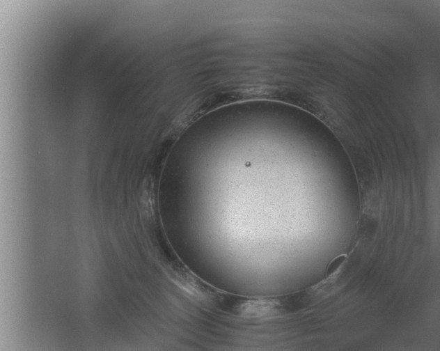 X0000061120179200511241720