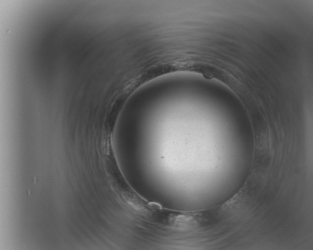 X0000061120180200511241720