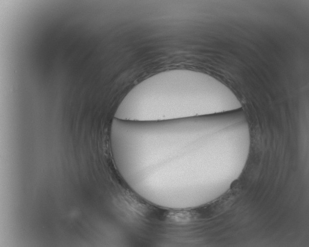 X0000061120181200511241720