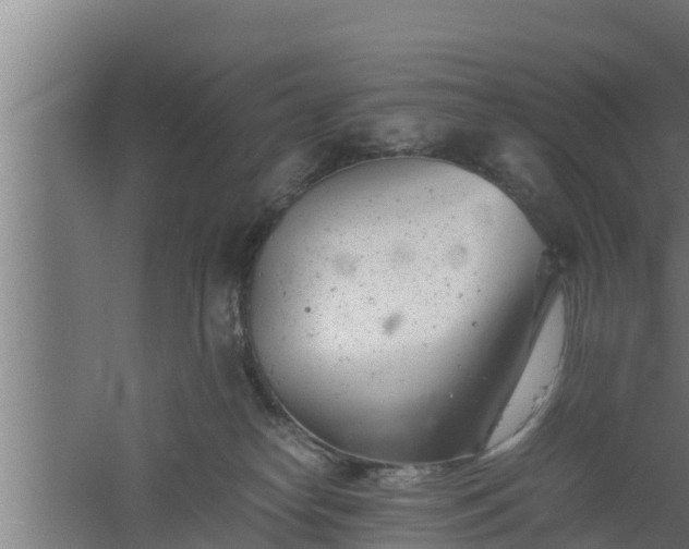 X0000061120182200511241720