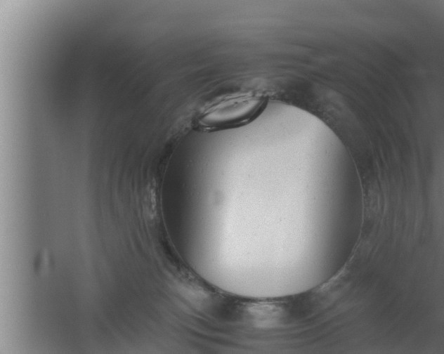 X0000061120183200511241720