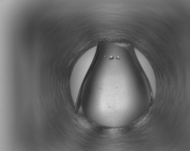 X0000061120184200511241720