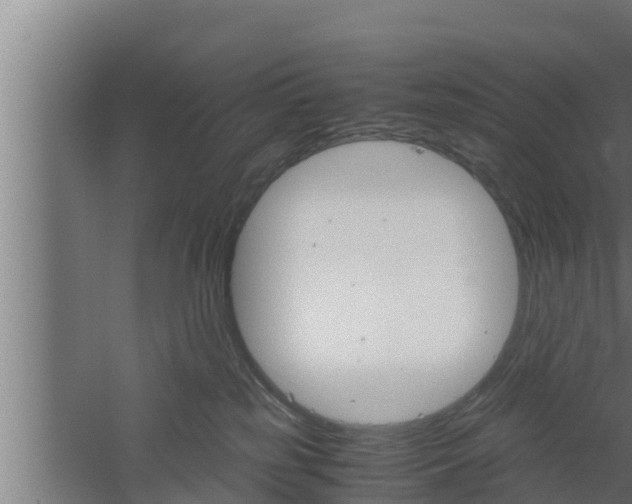 X0000061120185200511241720