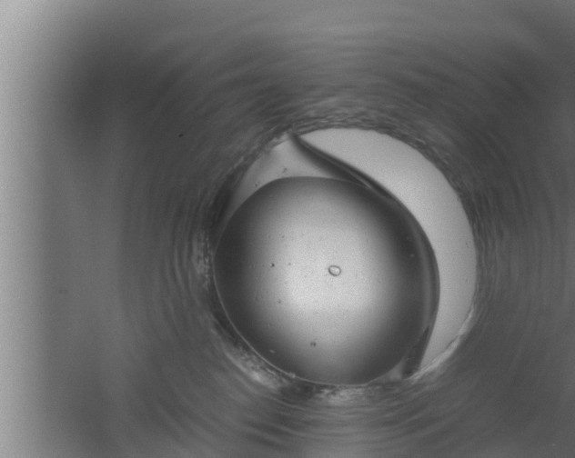 X0000061120186200511241720