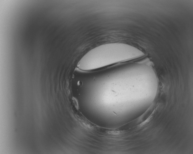 X0000061120187200511241720