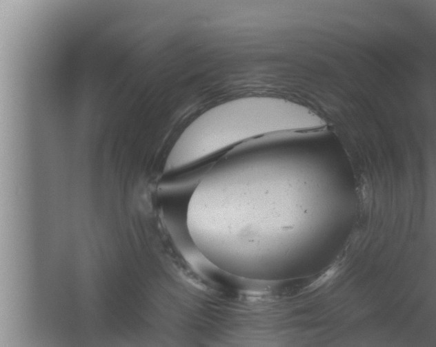 X0000061120188200511241720