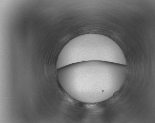 X0000061120189200511241720