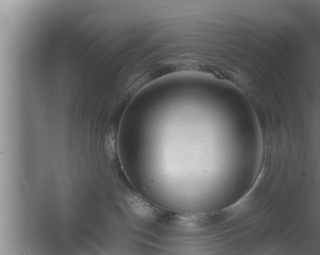 X0000061120190200511241720