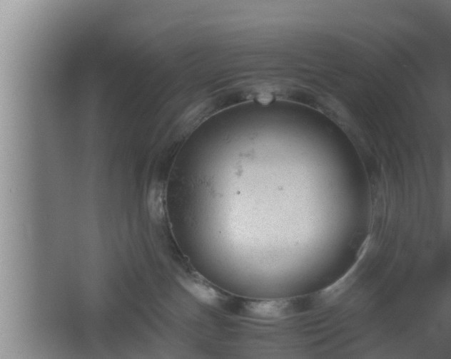 X0000061120191200511241720