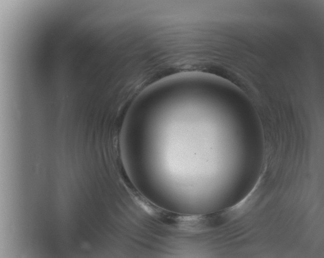 X0000061120192200511241720