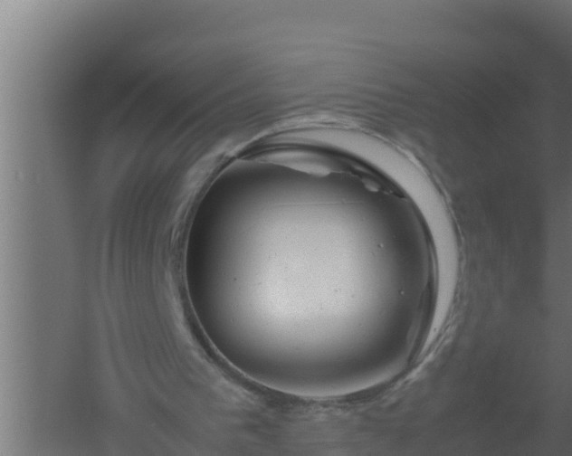 X0000061120193200511241719