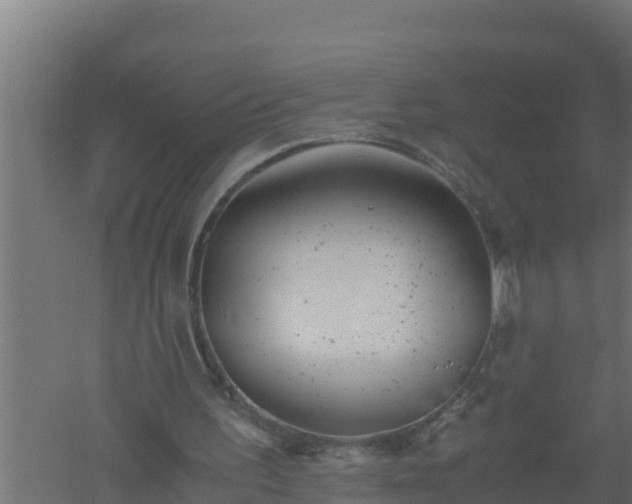 X0000061120195200511241719